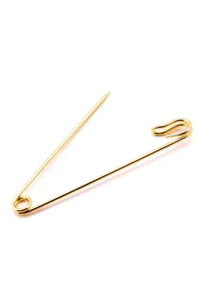 Gold Safety Collar Pin