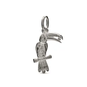 Toucan Parrot Silver Charm